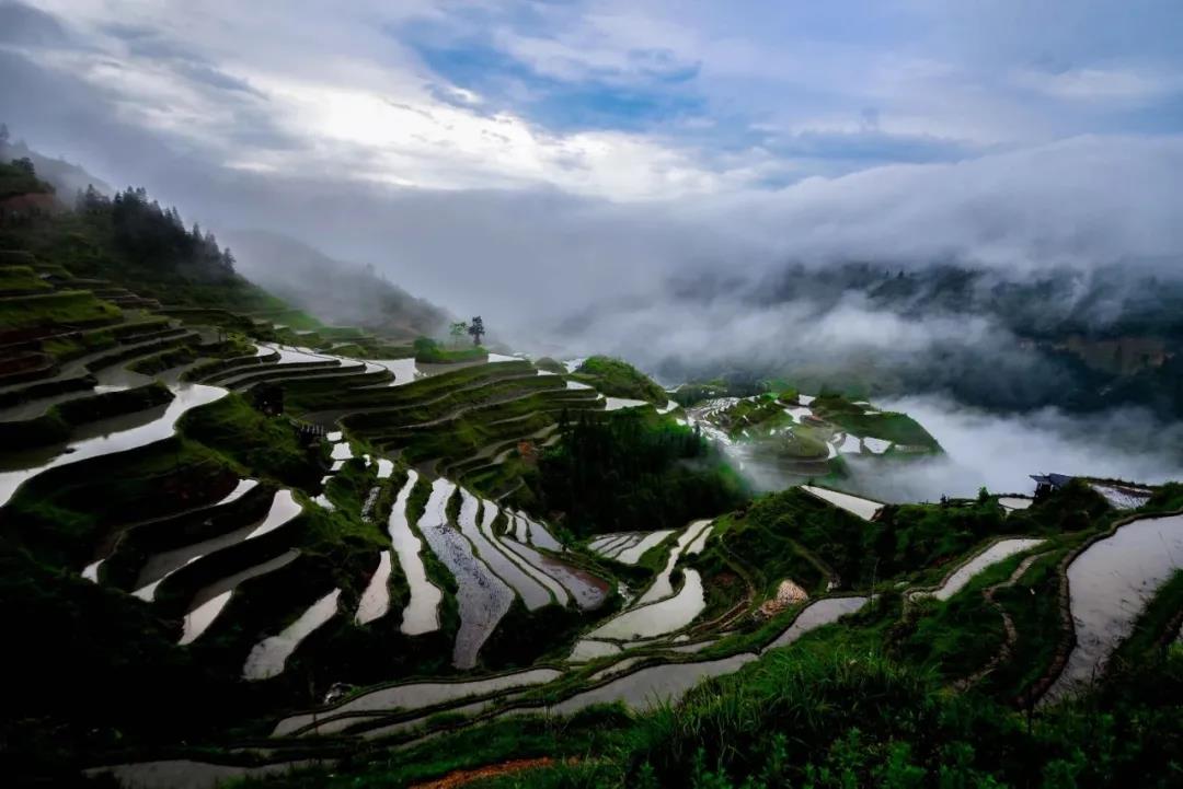 微信圖片_20210701100824.jpg 微信圖片_20210701100824.jpg
